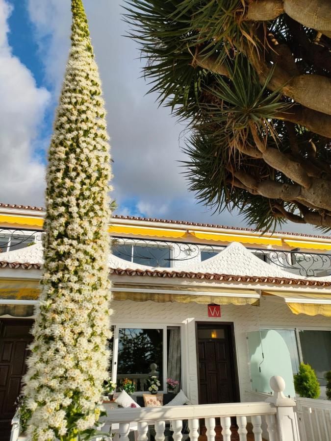 Teide & Mar Vistas Apartment Tacoronte Ngoại thất bức ảnh